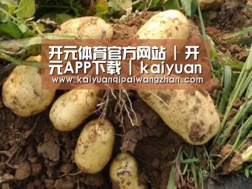 种植基地六