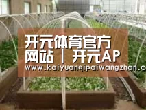 环境展示五