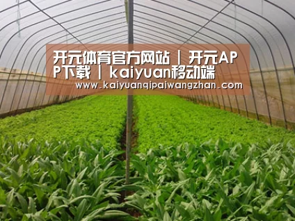 种植基地四