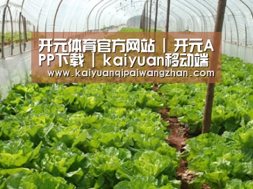种植基地五
