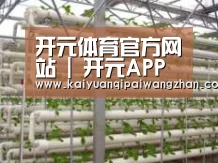 环境展示六