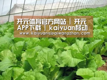 种植基地一