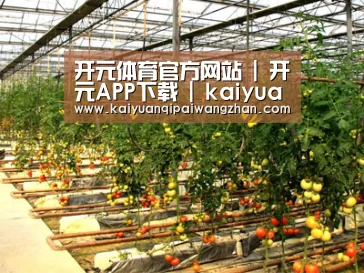 种植基地二(图1)